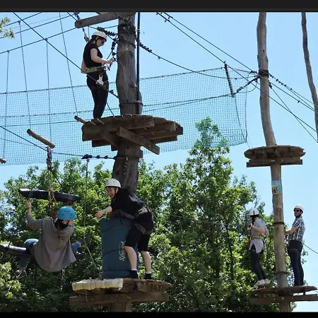 Willow Private Pool Marčana
