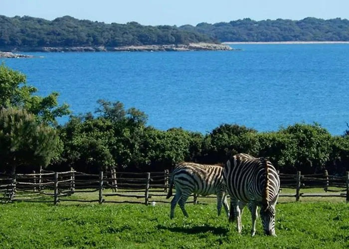 Willow Private Pool Appartement *