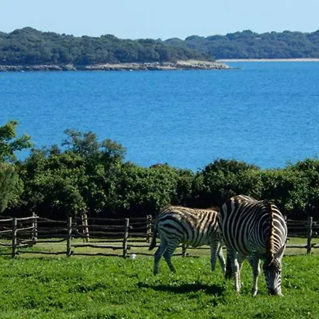 Willow Private Pool Apartman *